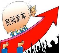 資本戰(zhàn)略與資本運作專題