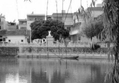 Ї׸ӾՈLˮڼl(xing)ʯ