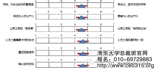 領(lǐng)導(dǎo)者實際的績效標(biāo)準(zhǔn)與差距